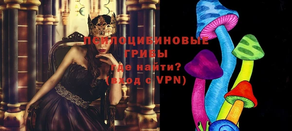 ешки Арсеньев